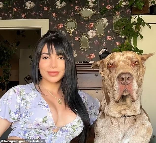 Модел на OnlyFans вкара куче с човешки размер в самолет, предизвиквайки спор онлайн