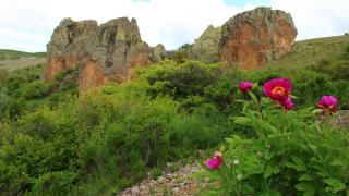 Не правете това в Турция, секирата е жестока