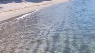 Имаме проблем: Необичайна гледка на наш плаж Видео