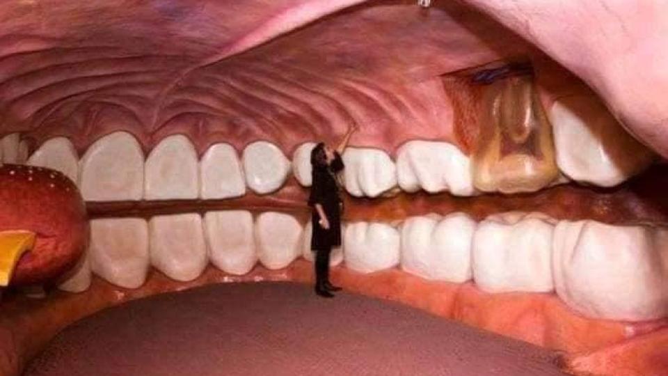 Единственият по рода си: Музей в Нидерландия ви потапя в собственото ви тяло!