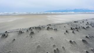 Българска окупация на Бяло море, а край плажа срещу 40-50 евро…