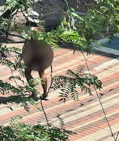 В този град хората ходят голи по улиците - но не за дълго