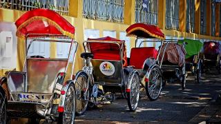 Заснеха туристи, правещи орална любов в движеща се рикша