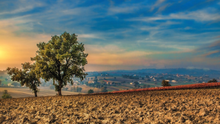 "Зеленото сърце на Италия“ – обявена за най-недооценената луксозна дестинация в Европа