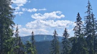 Тайно кътче в Родопите, за което скоро всички ще говорят! Нова пътека открива панорами, от които ще онемеете