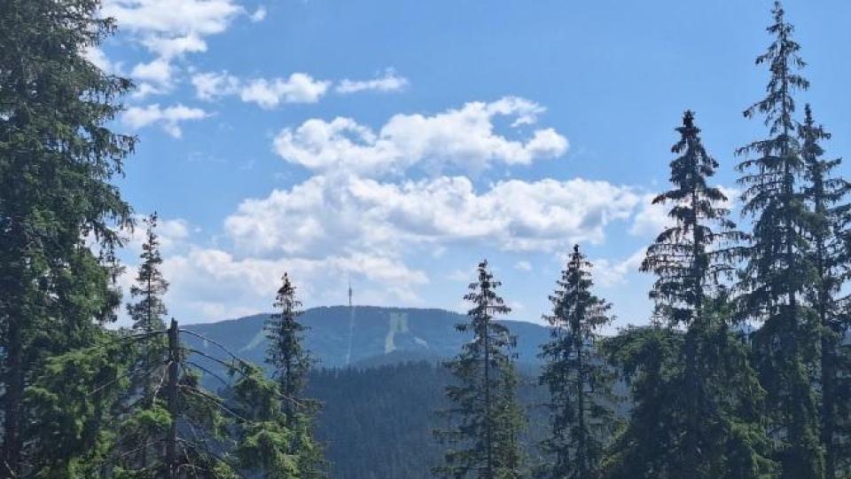 Тайно кътче в Родопите, за което скоро всички ще говорят! Нова пътека открива панорами, от които ще онемеете