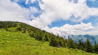 Резерват „Чупрене“: Дивото сърце на Западна Стара планина