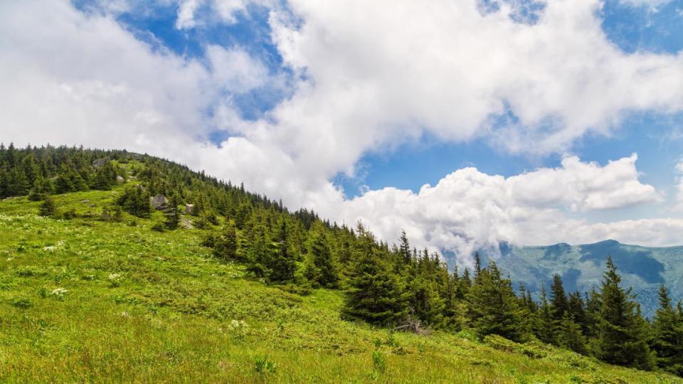 Резерват „Чупрене“: Дивото сърце на Западна Стара планина