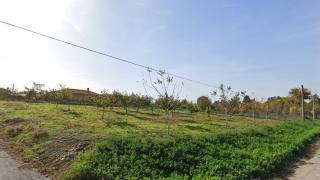 Паскалево: Селото, където няма престъпления и хора без работа