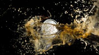 Чешки туристи внесоха 20 кутийки бира в Египет, багажът им експлодира