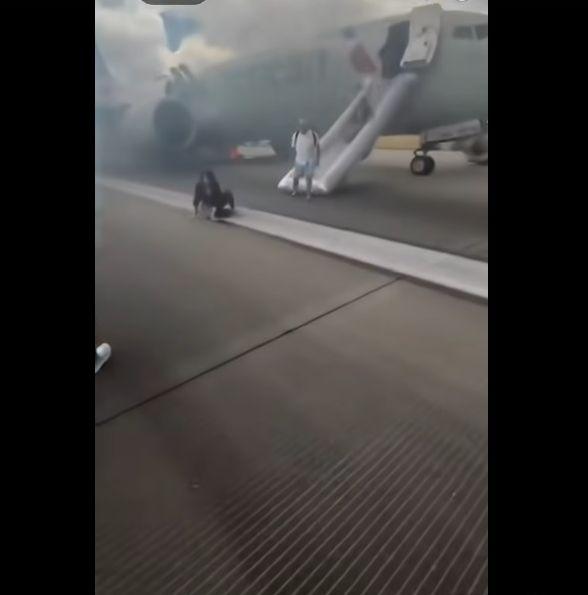 Известен български пилот: В подобна ситуация времето буквално се измерва в животи Видео