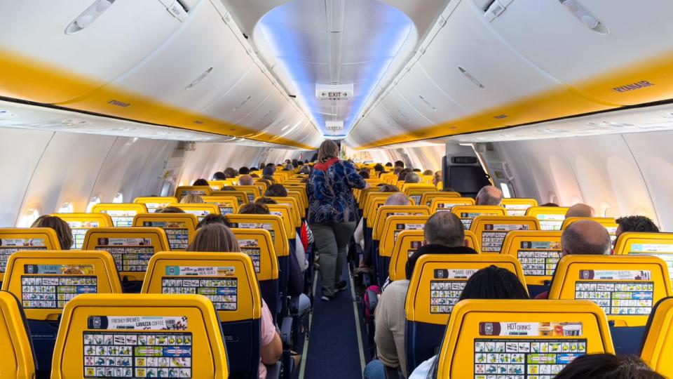 Кръв и ужас на борда преди кацане на самолет на Ryanair Видео