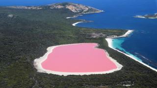 Най-красивото розово езеро в света: Защо няма туристи