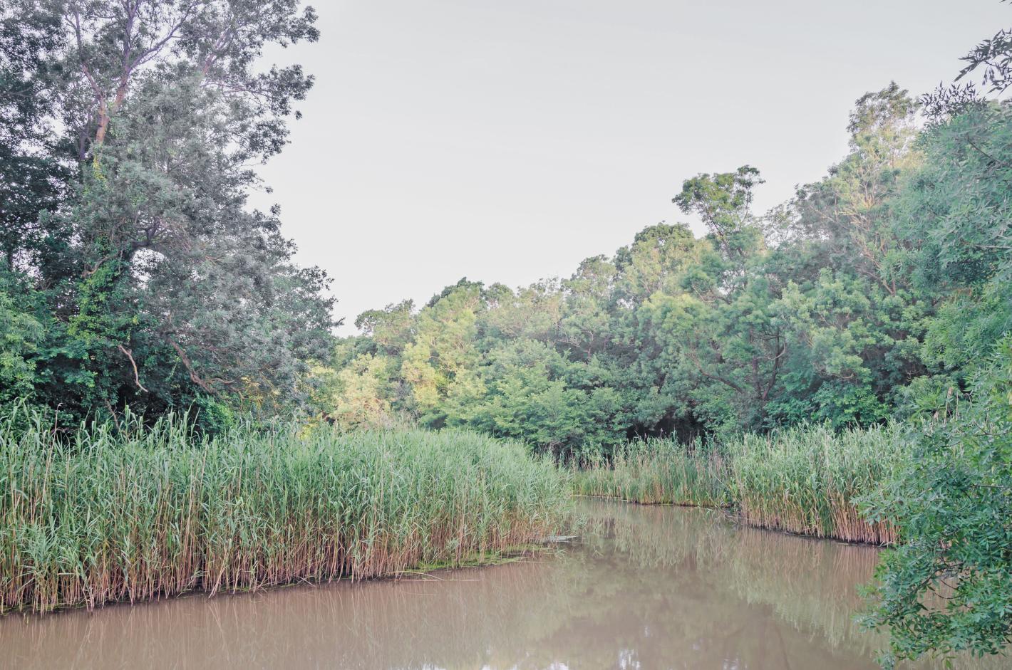 Наш топ курорт удари конкуренцията от Гърция и Турция