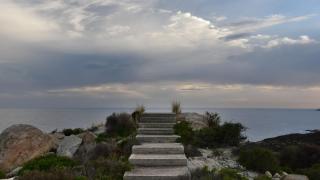 Амбициозен проект на любимата Ситония се срина с гръм и трясък - останаха само козите Видео