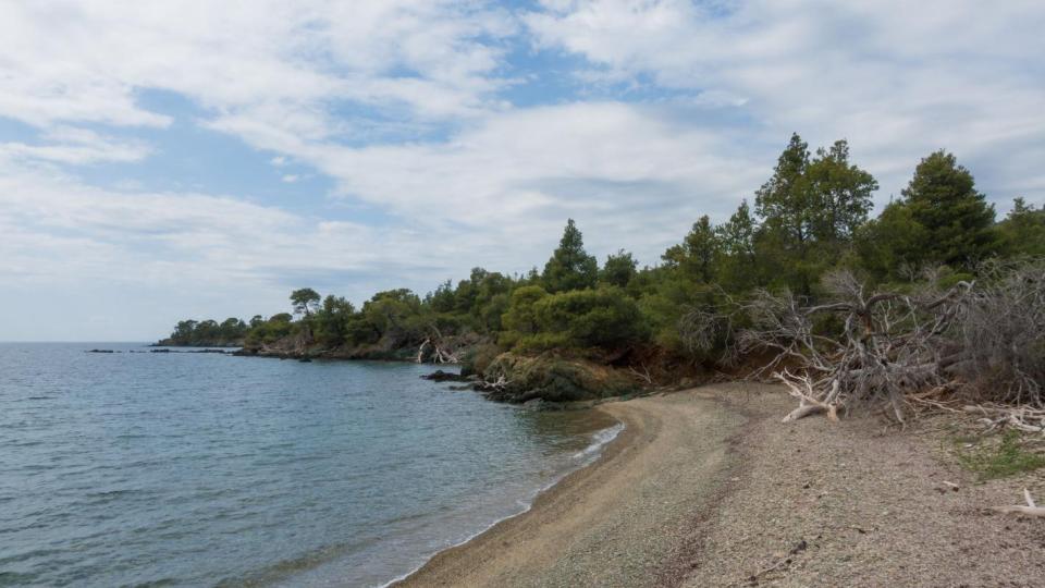 Появиха се обезпокоителни кадри: Опасен звяр на плаж в Гърция Видео