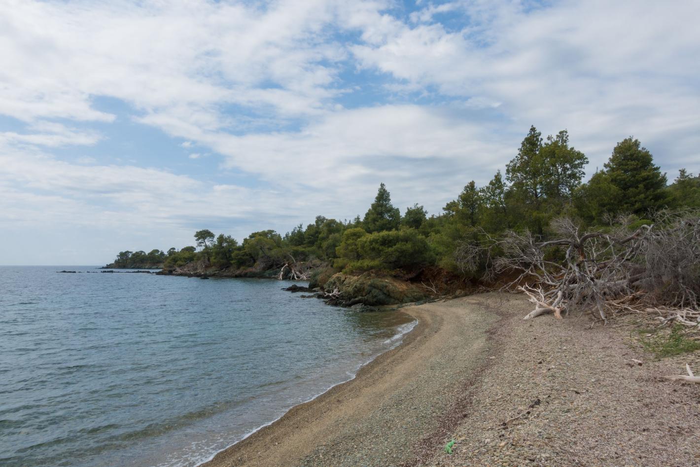 Появиха се обезпокоителни кадри: Опасен звяр на плаж в Гърция Видео