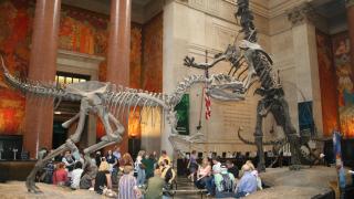 Природонаучен музей отваря врати за посещение с преспиване