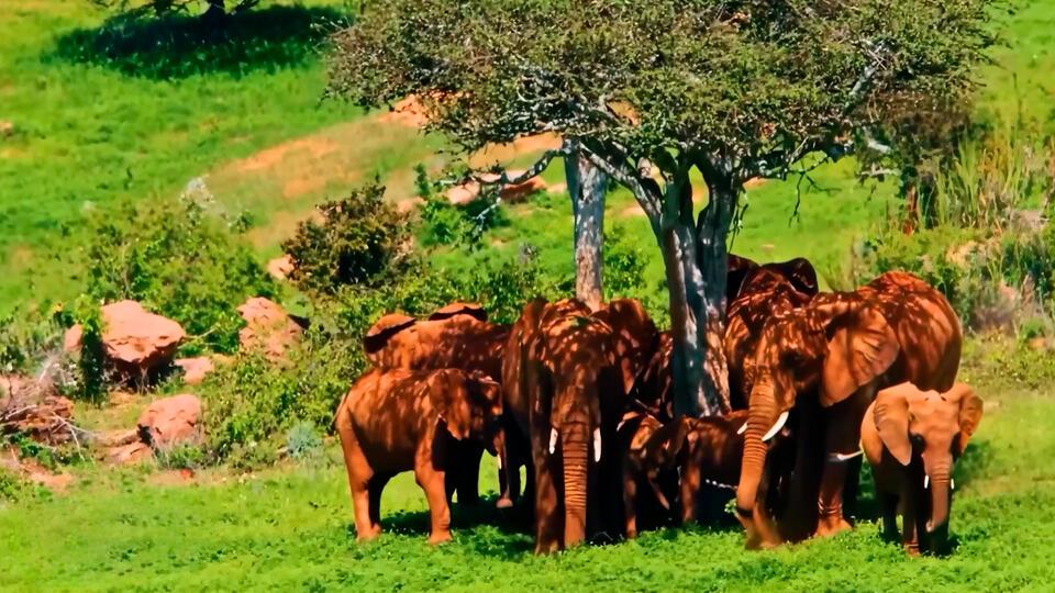 Защо туристи масово умират в този резерват