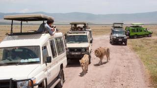 Защо туристи масово умират в този резерват