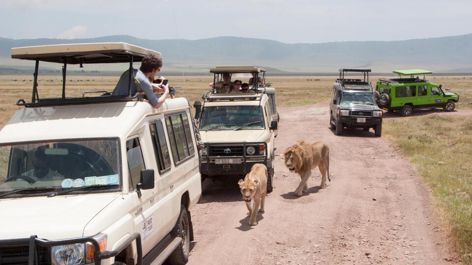 Защо туристи масово умират в този резерват