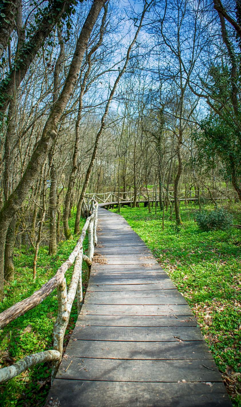 Ранули, Лъвската глава и мистиката на Ропотамо Видео
