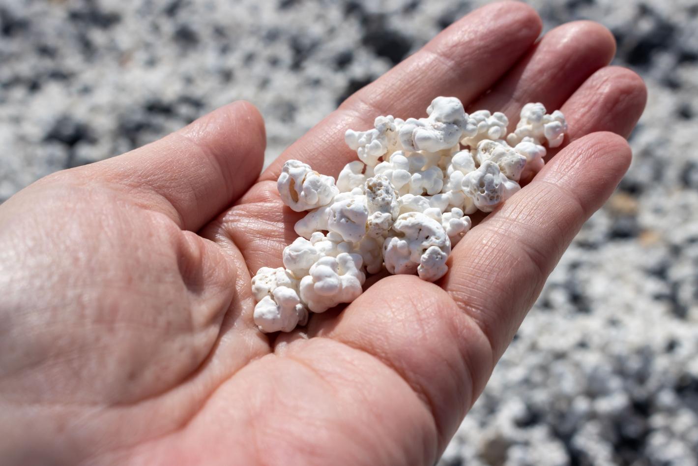 Пясък на пуканки: Канарските острови имат необичаен плаж, който изумява туристите