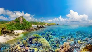 Линията на Уолъс – невидимата граница, която разделя животинските светове на Азия и Австралия