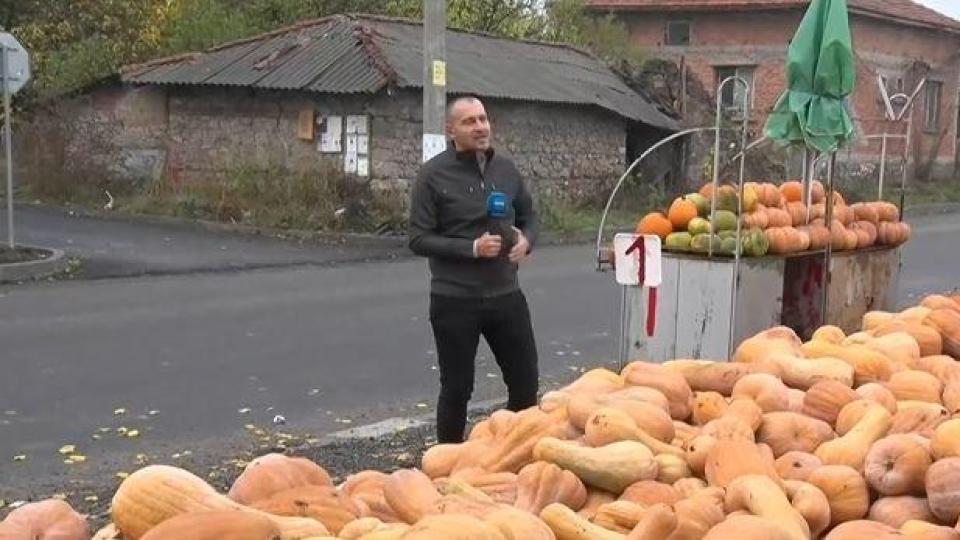 Българското село, което е столицата на тиквите