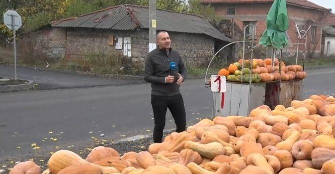 Българското село, което е столицата на тиквите