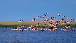 Нов маршрут разкрива скритите съкровища на Добруджа