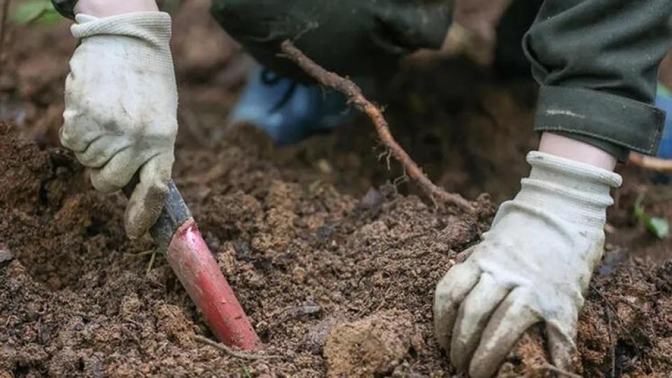 Най-старото доказателство за кръвосмешение бе открито в Италия