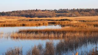 Хиляди българи минават всеки ден край това уникално място и идея си нямат какво крие то