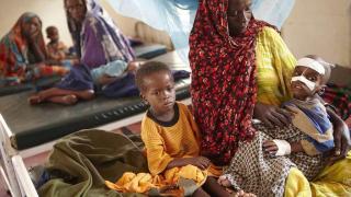 Защо африканците изхвърлят изпратената им храна от Русия