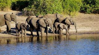 Ботсвана: От диаманти към дивата природа – новата туристическа надежда на Африка