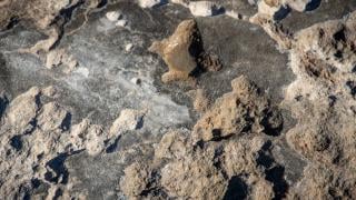 Необичайното езеро с живи тромболити Клифтън