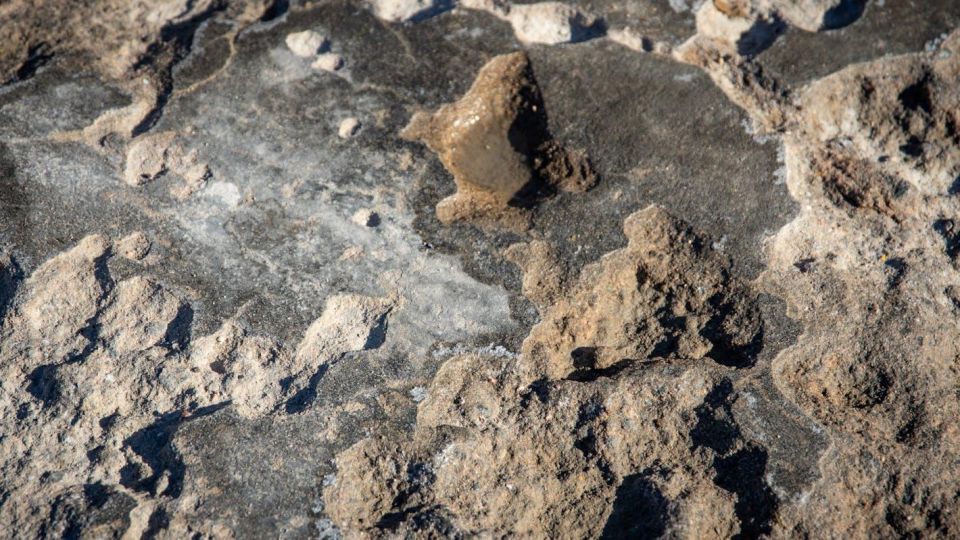 Необичайното езеро с живи тромболити Клифтън