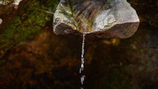 Водата, която лекува 100 болести - една чешма в Родопите