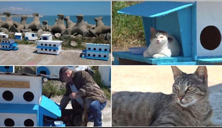 Котешката скала - новата туристическа атракция на брега на Черно море