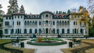 Сред вековни дървета и редки видове: защо „Врана“ е уникален парк за България