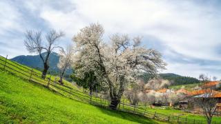 Кое е най-старото село в България: Жива история под открито небе