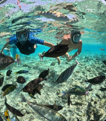 Жоро Игнатов от "Съдебен спор" прикова погледите с това ВИДЕО