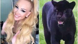 Фолк легендата Луна с шокиращ коментар за леопарда в Шумен