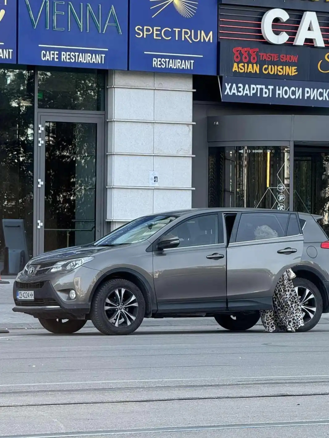Изловиха Силвия Кацарова зад волана да... Снимки