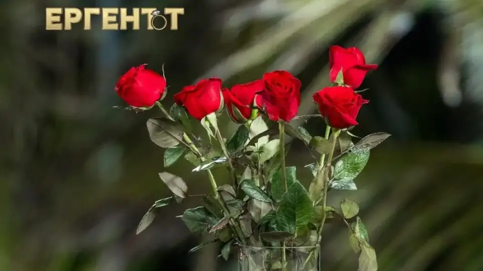 Показаха кои са девойките от новия сезон на "Ергенът"! Пълно е с познати муцуни Видео