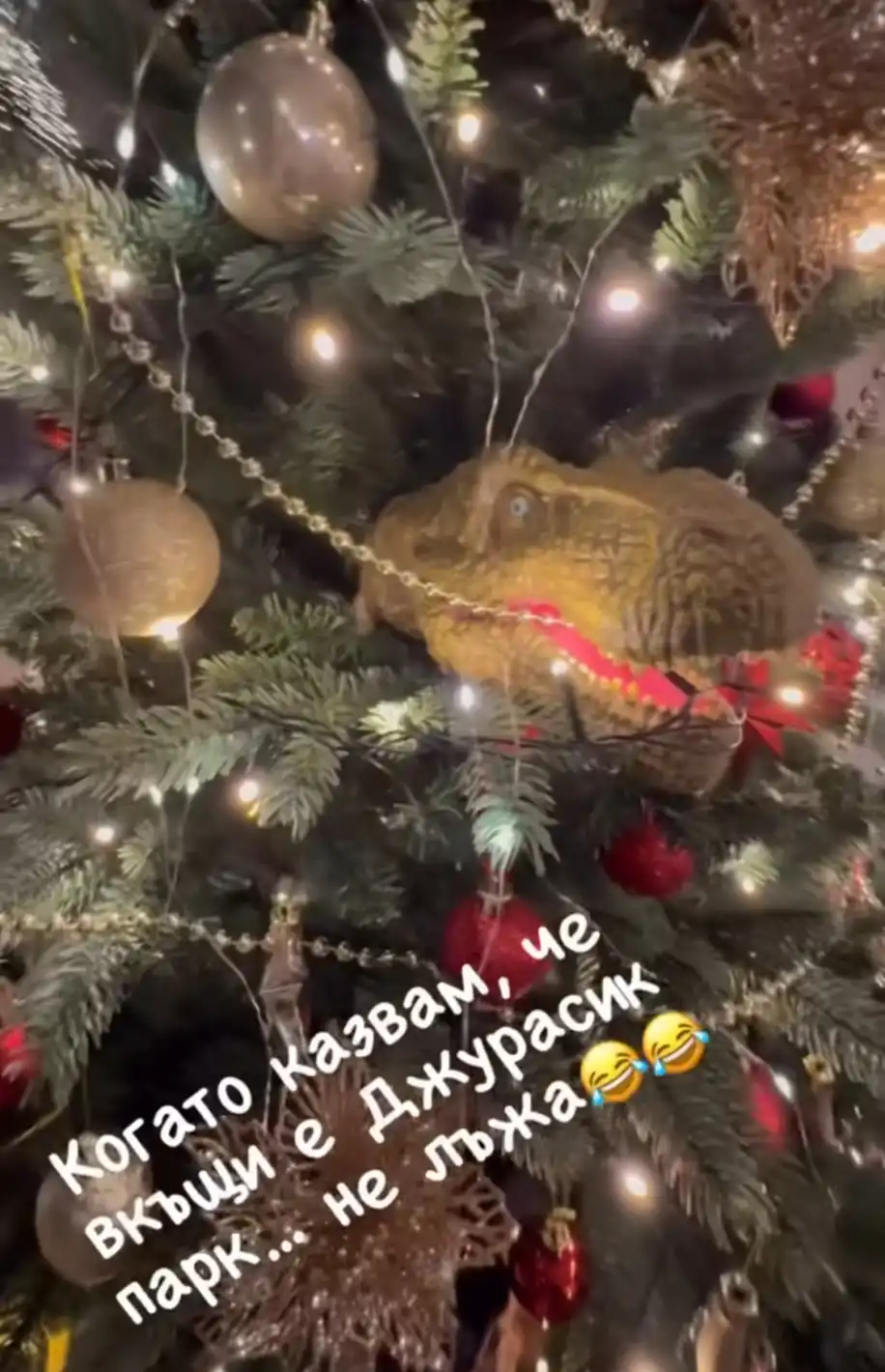Звездите чупят традициите: Елхи с динозаври, венци от картофи и животински акценти Видео