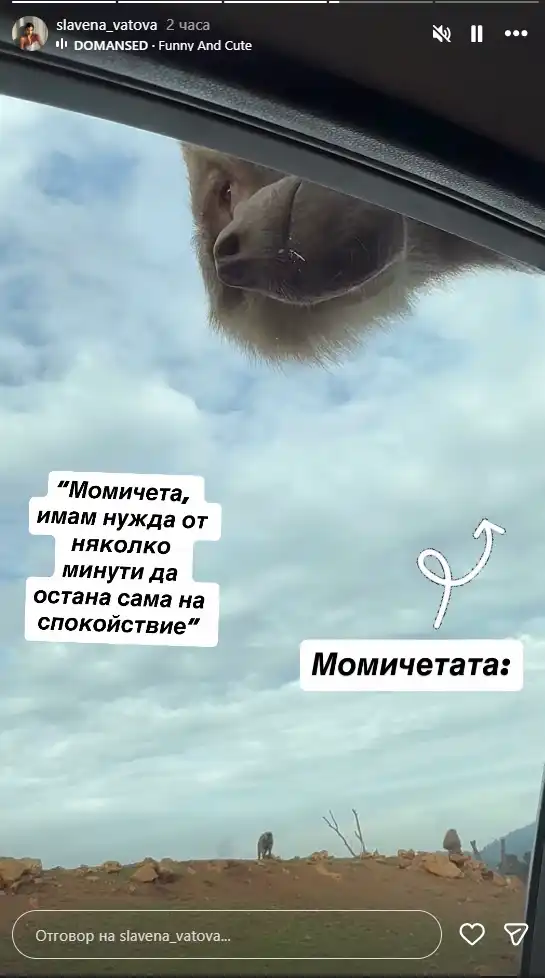 Сафари вместо спа: Славена Вътова заседна сред зебри и маймуни и... Снимки