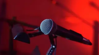 Потрес! Фолкпевици се хванаха за гушите за 1000 лв.