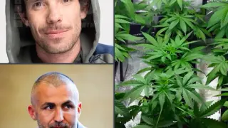 Задържаха Явор Бахаров след откриването на нива с канабис в негов имот