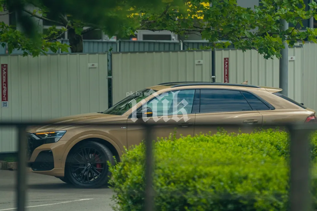 Ралица Паскалева се появи с луксозно златно Audi Q8 S line